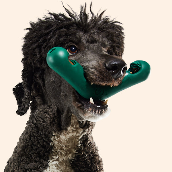 The Bite n' Brush