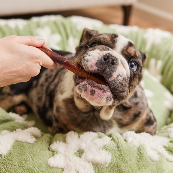 Free Range Bully Sticks