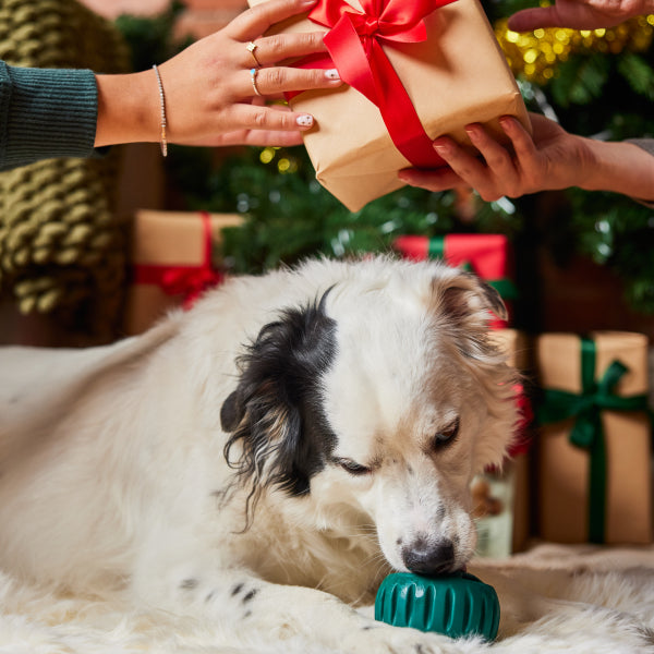 Digital Gift Card