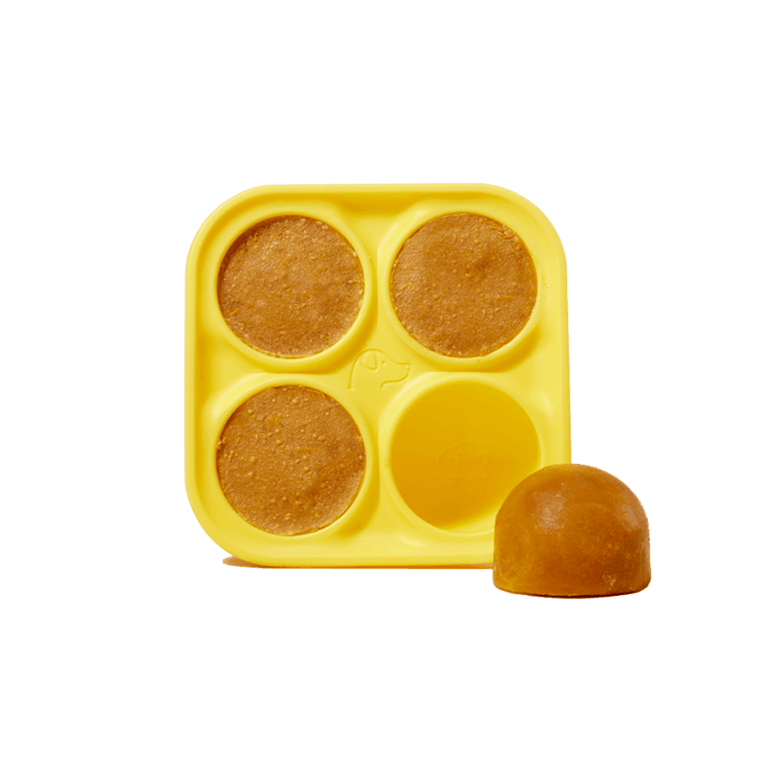 treat tray mold