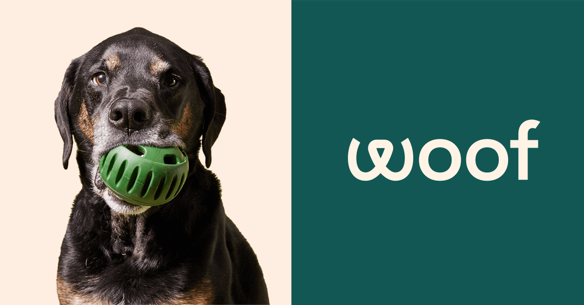 Woof Pupsicle Starter Pack - Long Lasting Dog Treat Starter Pack