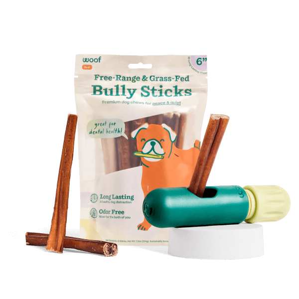 The BullySafe Better Pack