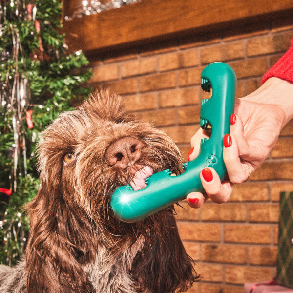 The Brighter Smiles Pack