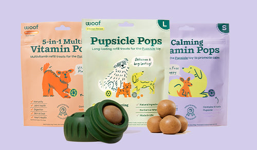 The Essential Nutrients Found in Pupsicle Pops