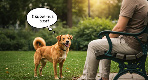 A dog joyfully recognizing and greeting a familiar person