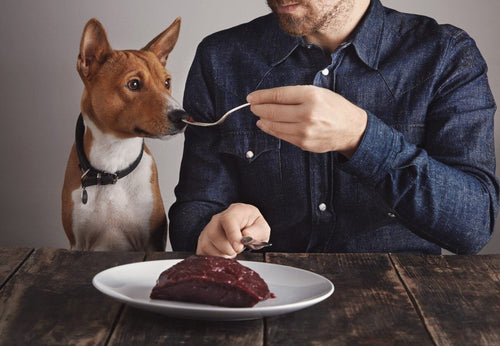 Can Dogs Eat Beef Liver? Is It Good For Them?
