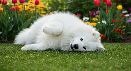 Dog engaging in mental stimulation activities