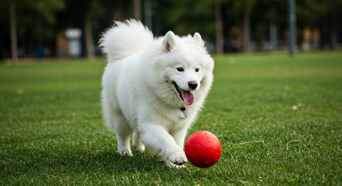 Happy dog enjoying enrichment activities with Woof products like the Pupsicle and LickMat