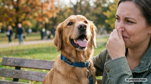 Happy dog with fresh breath enjoying Woof dental enrichment products