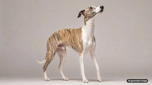 Curious dog lifting its nose and sniffing subtle scents in the air