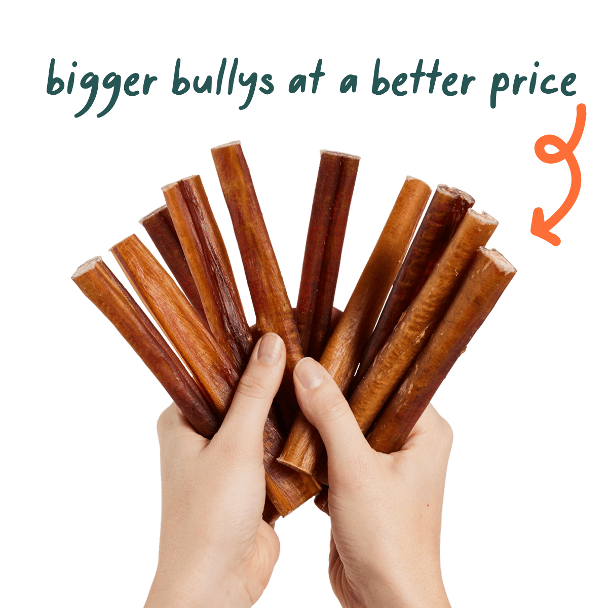 Bully sticks for puppies hot sale