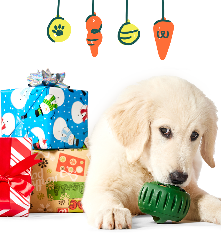 https://mywoof.com/cdn/shop/files/231031_Holiday-gifting_Landing-page_Hero_Mobile_1.png?v=1699382602&width=750