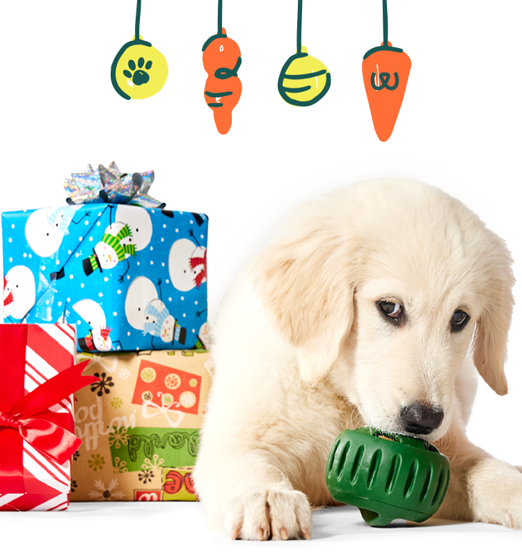 The Best Christmas Gifts & Toys for Dogs