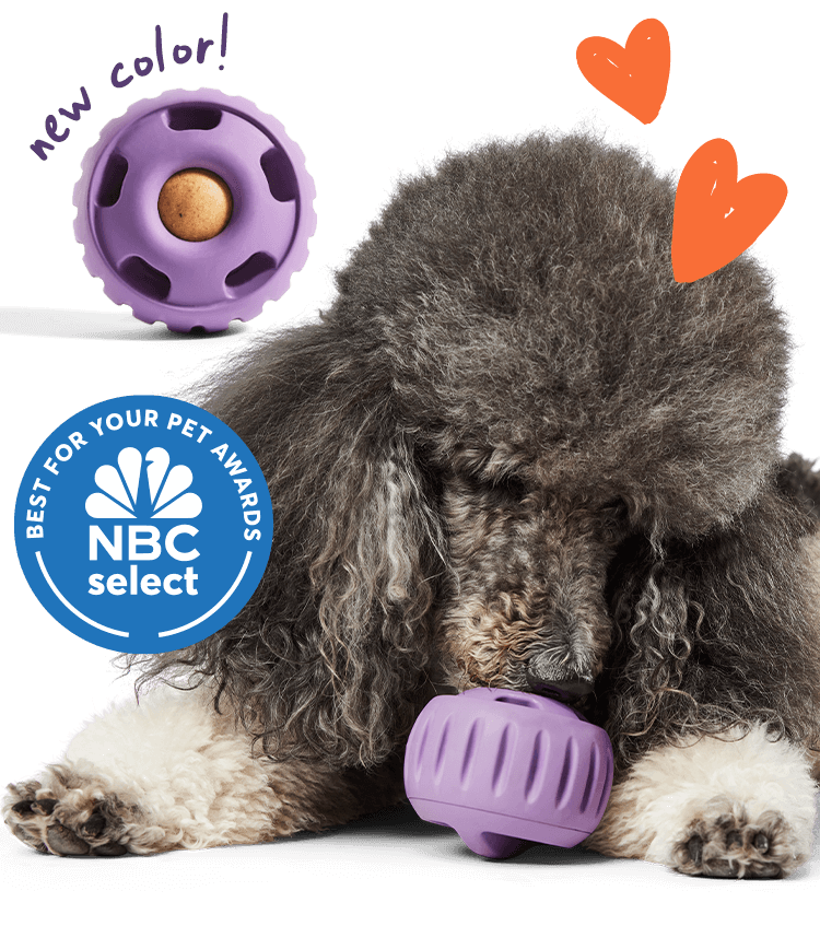 Woof Pupsicle Best Dog Toy Puzzle