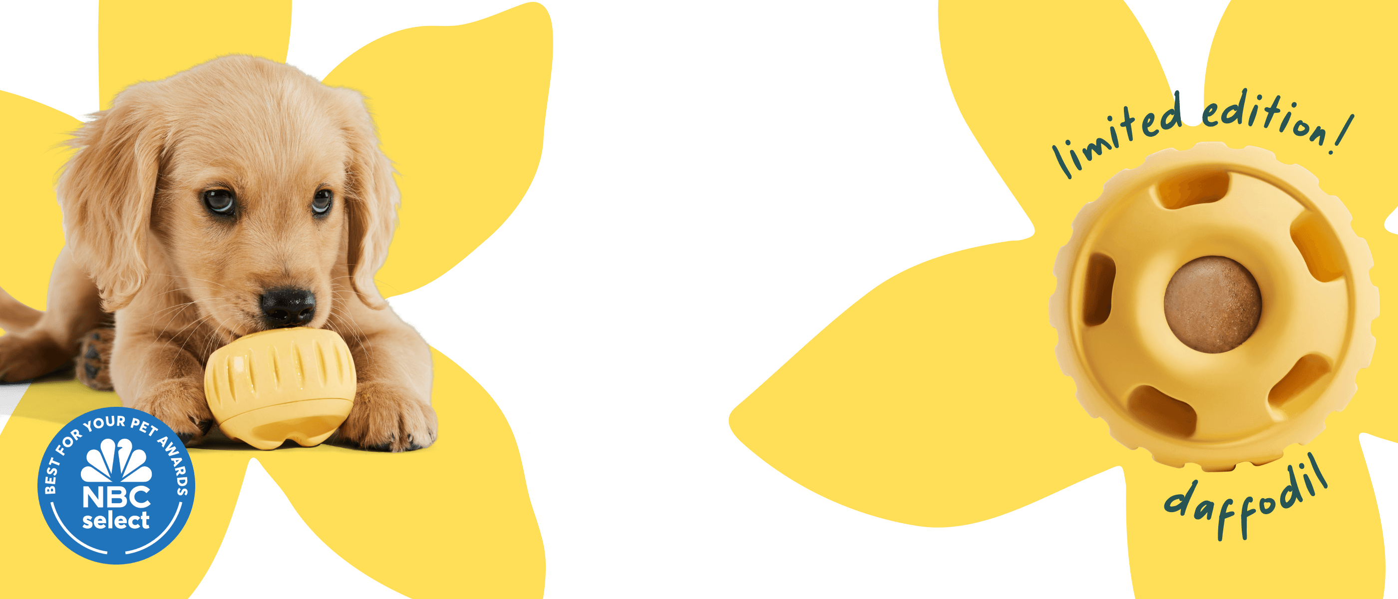 puppy licking a daffodil pupsicle with nbc select badge and flower illustration