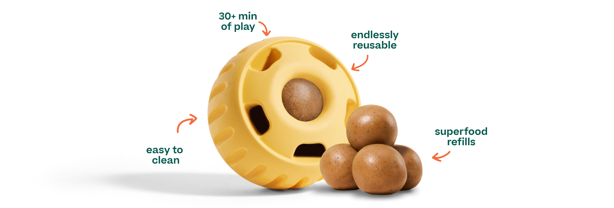 daffodil pupsicle with refill pops and text callouts