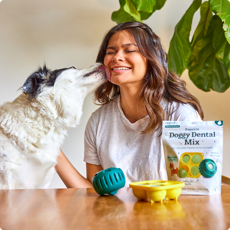 About Us - Learn About The Woof Mission