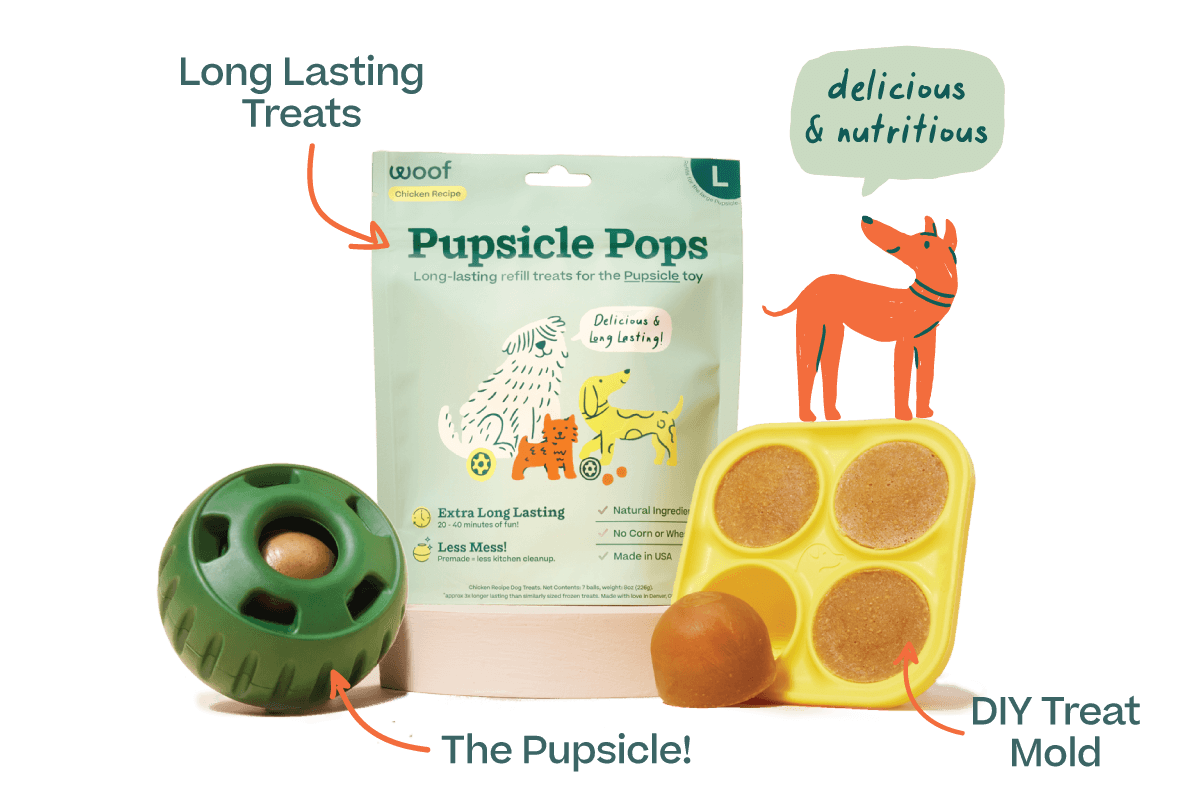 Woof Pupsicle Treat Mold for Dogs