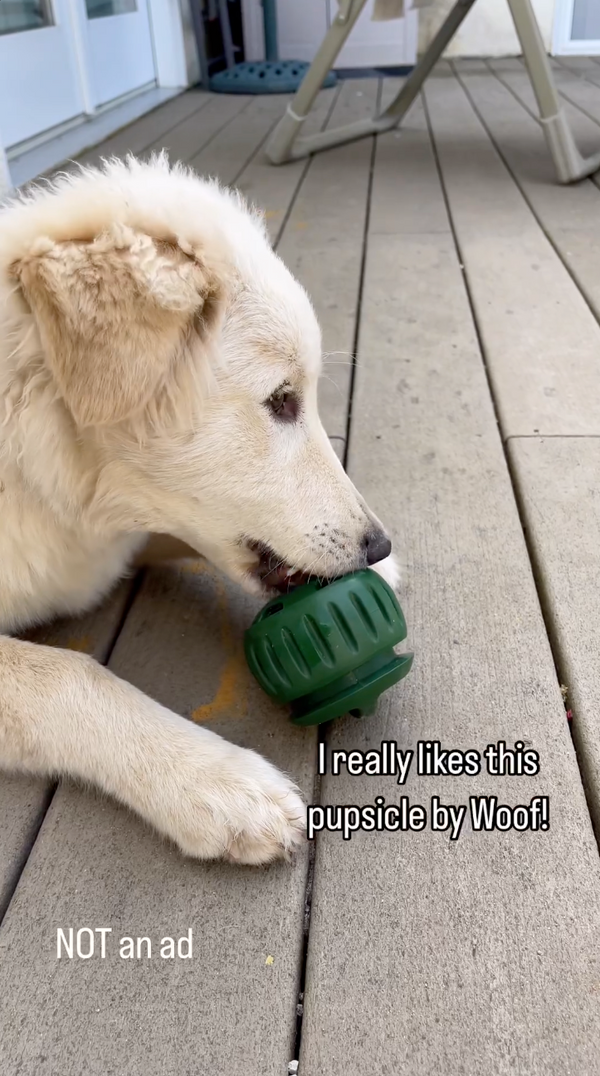 Woof Dog Products - The Amazing Pupsicle