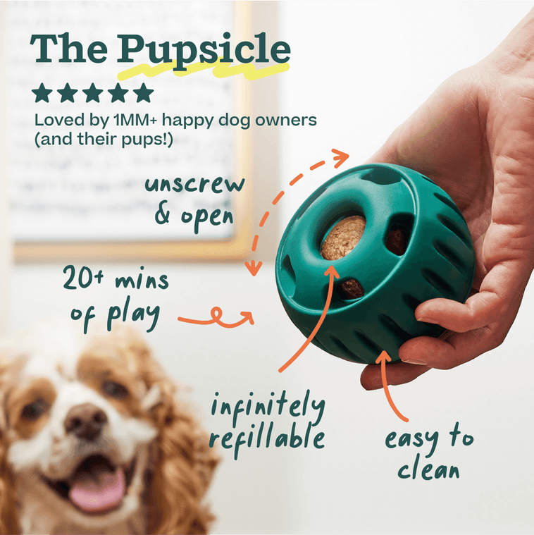 Woof Best-Sellers