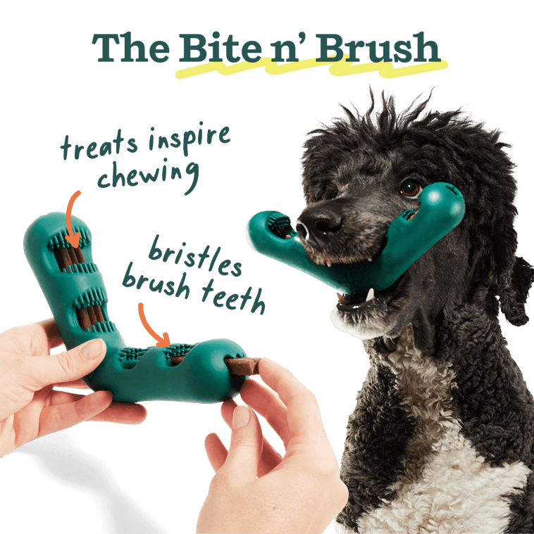 Woof Best-Sellers
