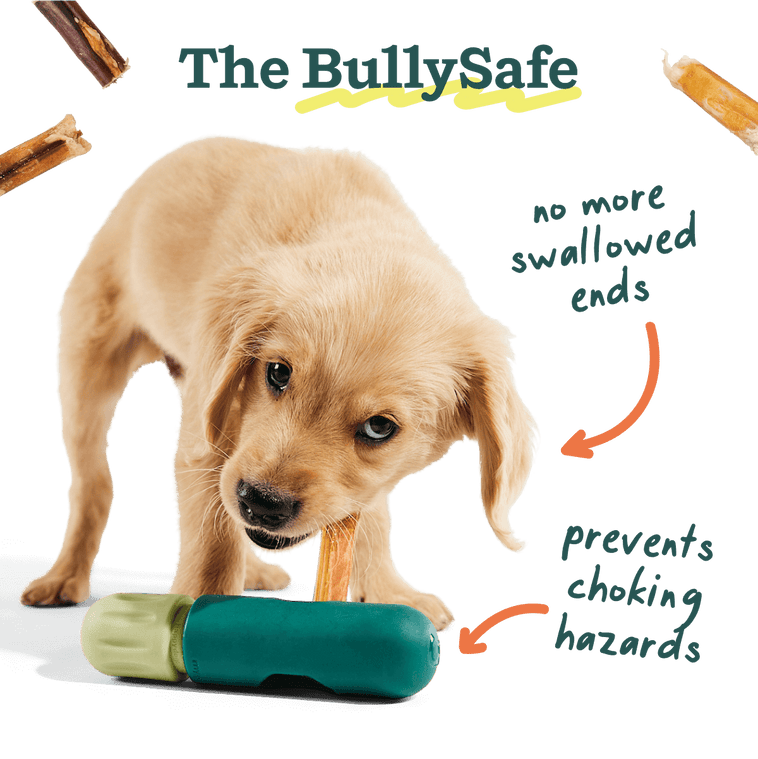 Woof Best-Sellers