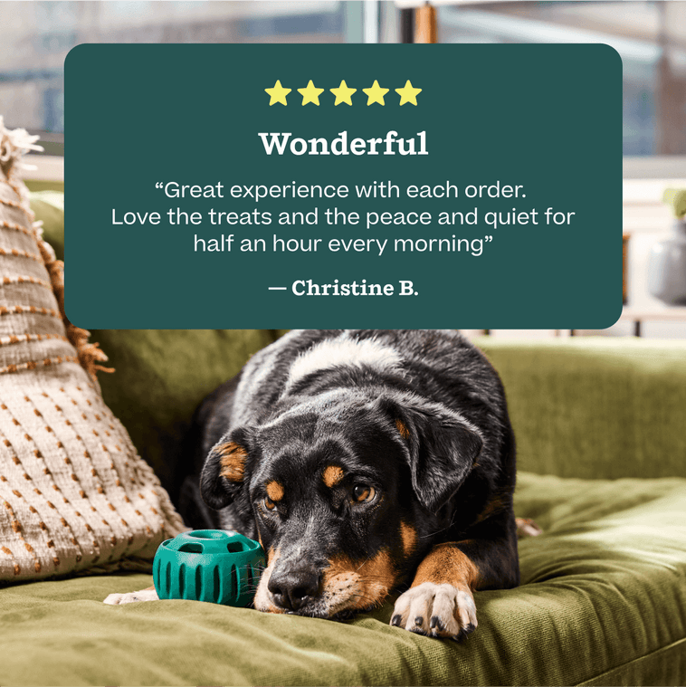 Woof Best-Sellers