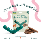 The Bite n' Brush Basics Pack