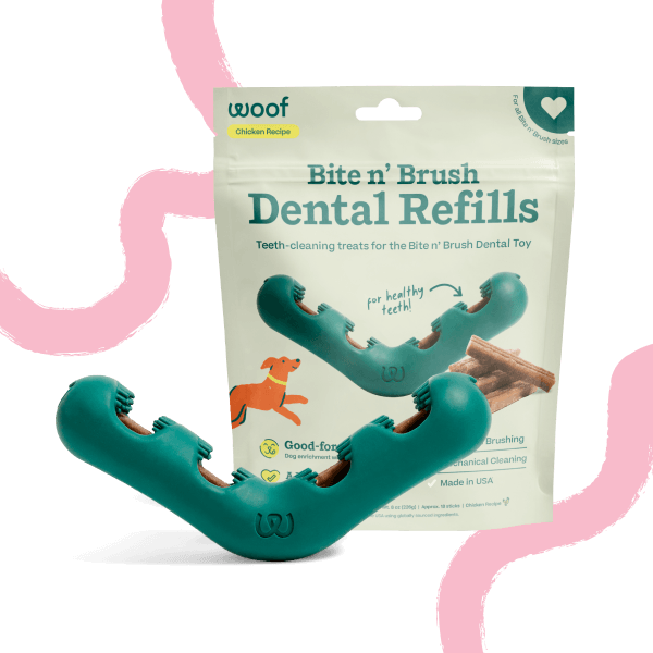 The Bite n' Brush Basics Pack