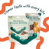 Bite n’ Brush Starter Pack