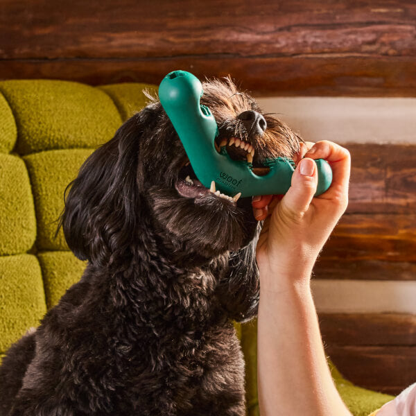 Bite n' Brush