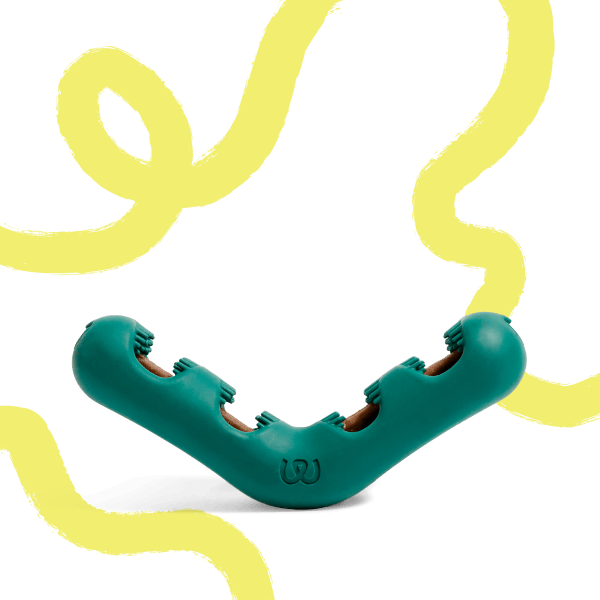 Bite n' Brush
