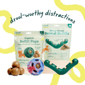 The Dental Play Pack