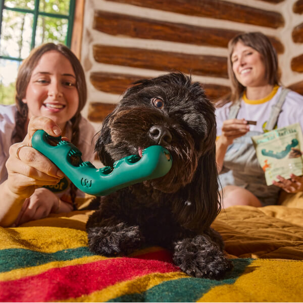 The Dental Play Pack