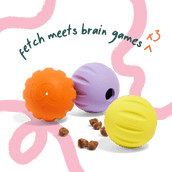 Flyball 3 Pack
