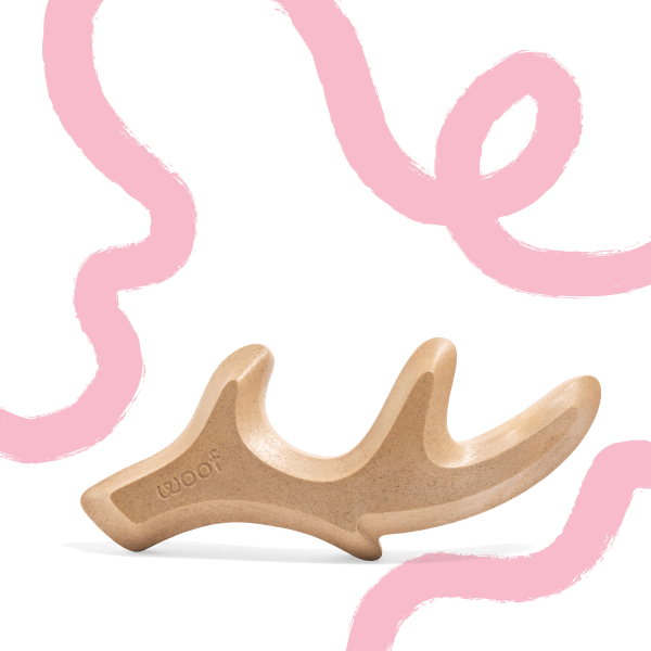 HonestChew