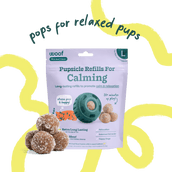 Calming Wellness Pops