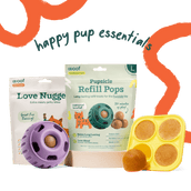 Pupsicle Starter Pack
