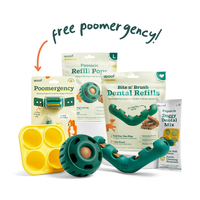 Dental Care Pack