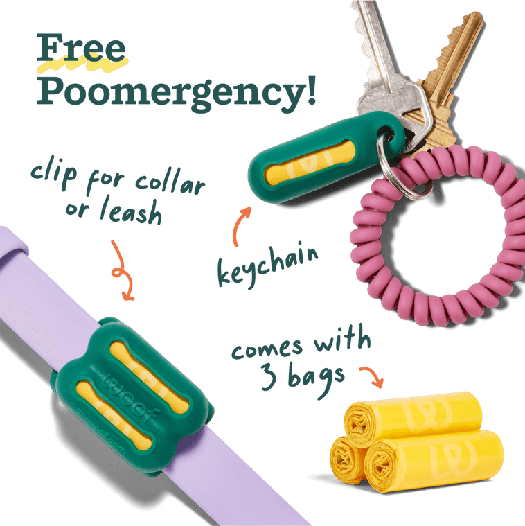 Dental Care Pack