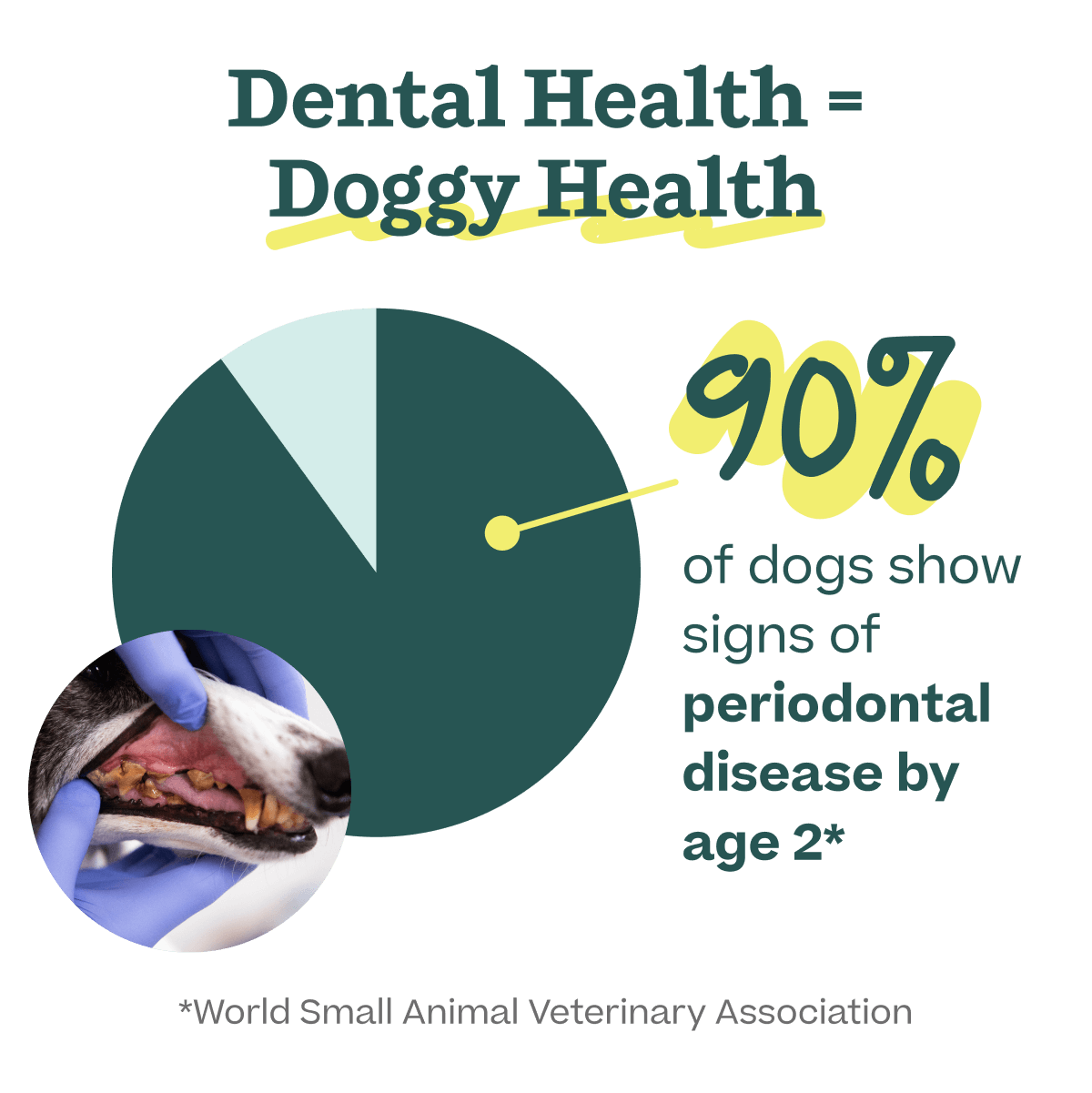 Dental Care Pack