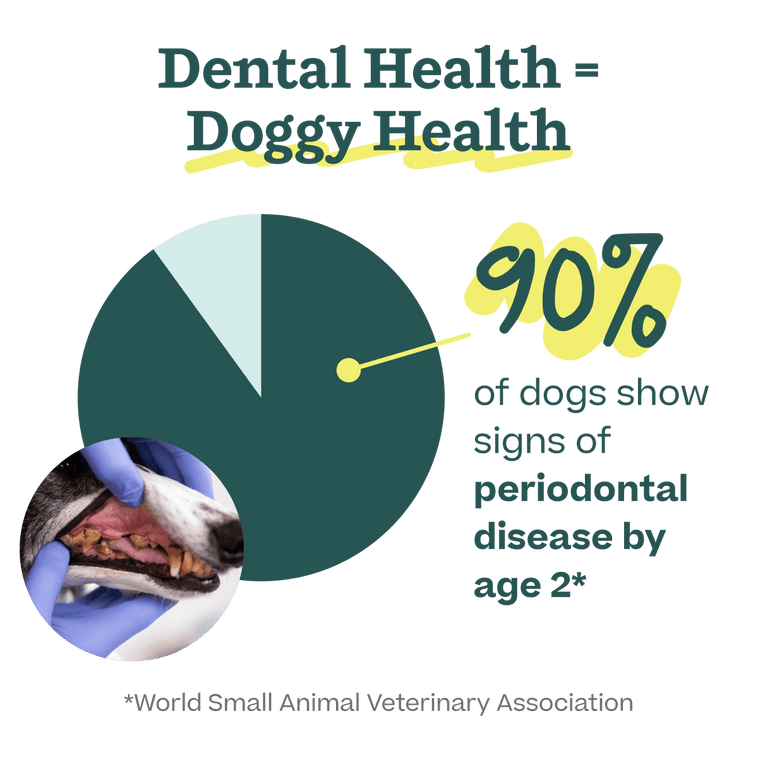 Dental Care Pack