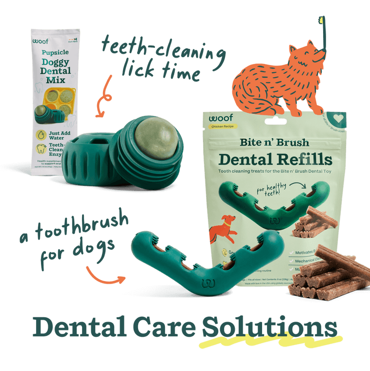Dental Care Pack