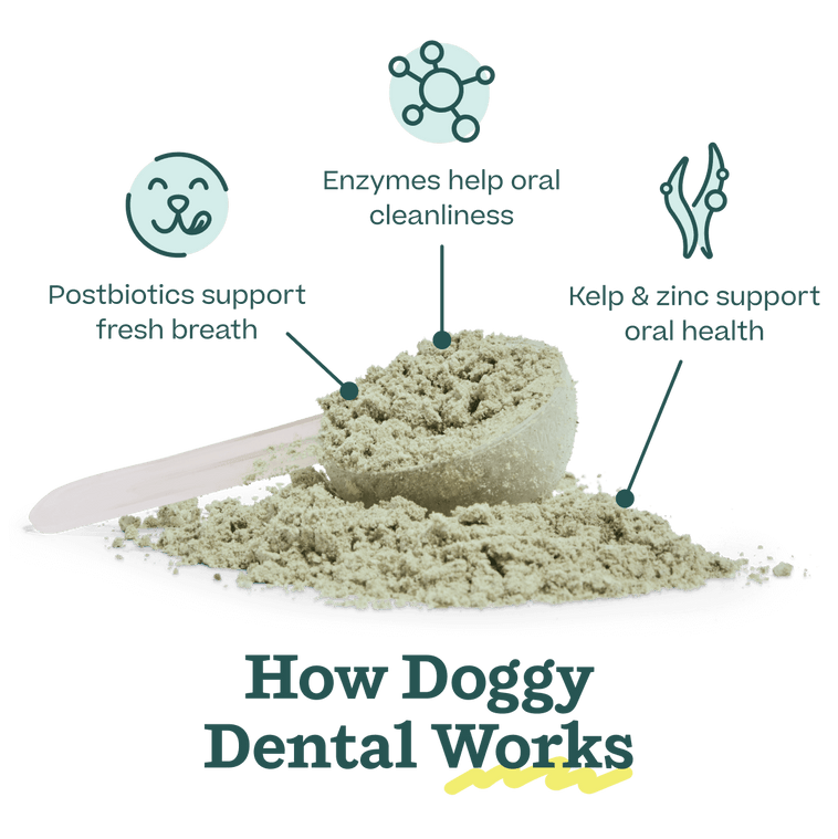Dental Care Pack