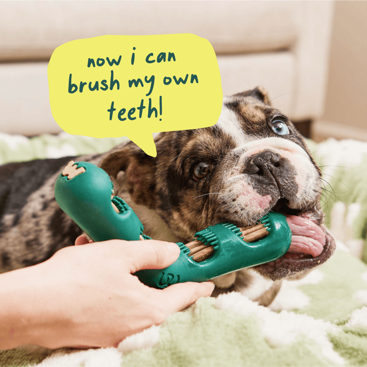 Dental Care Pack