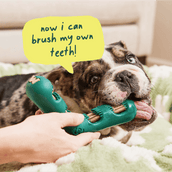 Dental Care Pack