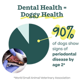 Dental Mix Basics