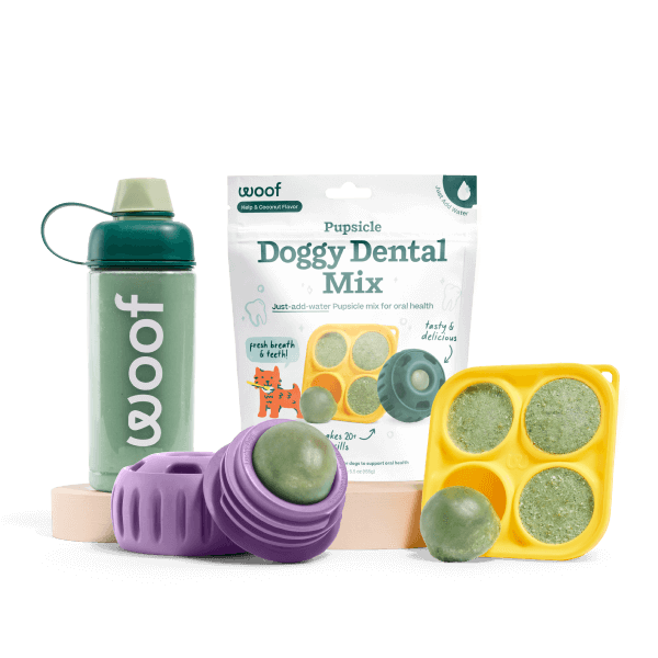 Dental Mix Basics
