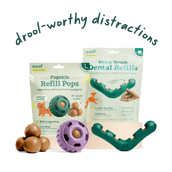 The Dental Play Pack