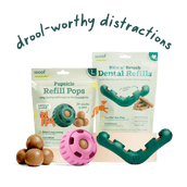 The Dental Play Pack